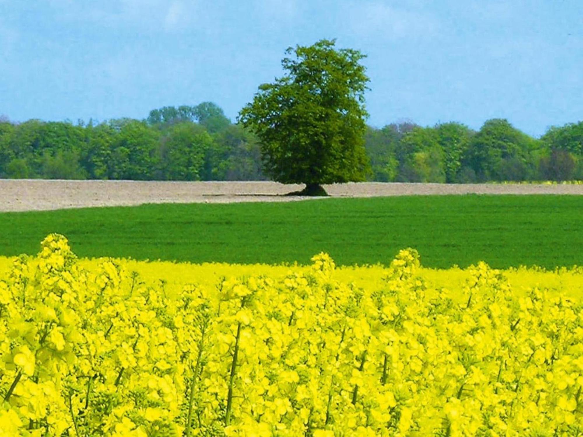 Ferienwohnung In Schwerin 什未林 外观 照片